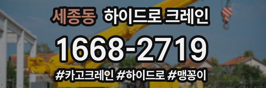세종동 하이드로 크레인