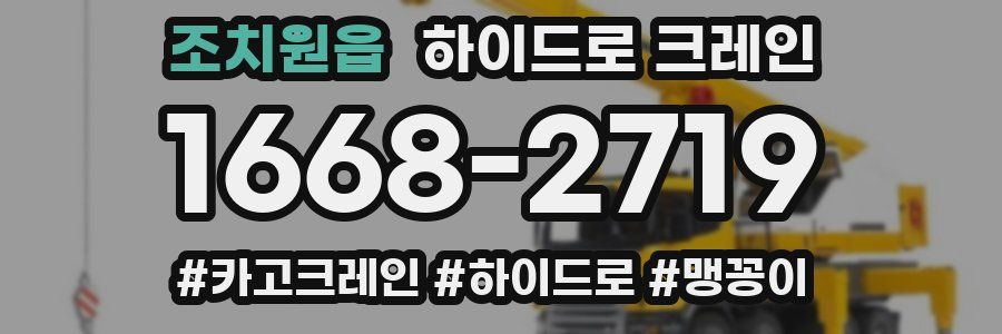 조치원읍 하이드로 크레인