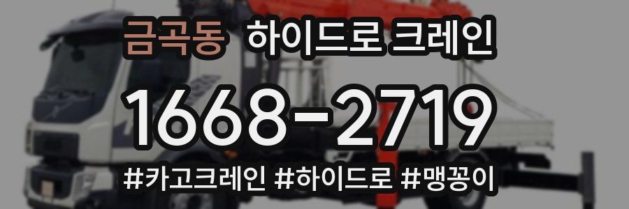 금곡동 하이드로 크레인