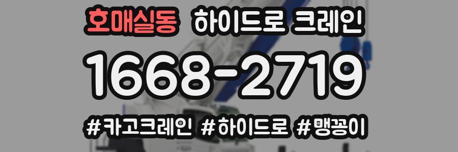 호매실동 하이드로 크레인