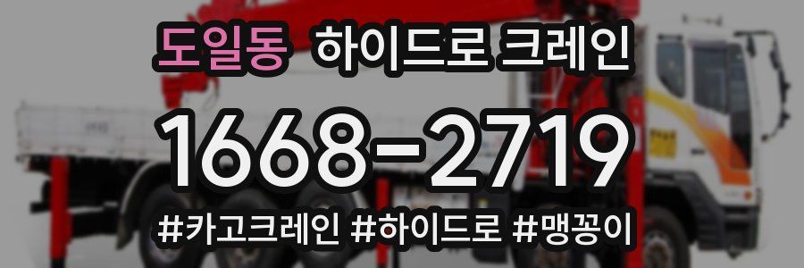 도일동 하이드로 크레인