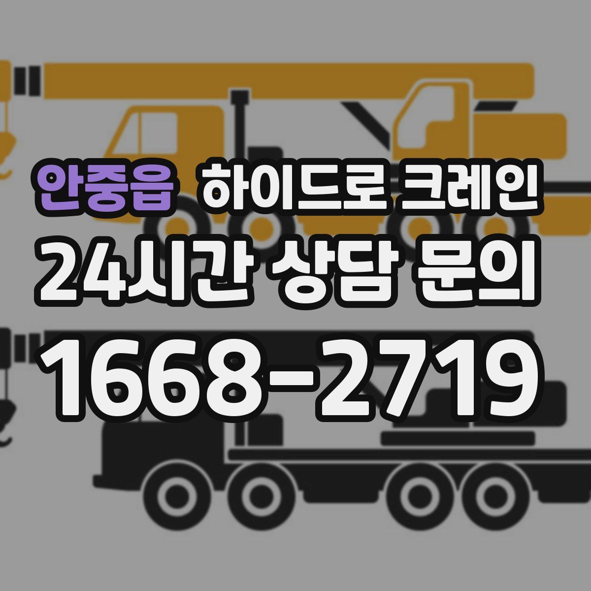 안중읍 하이드로 크레인