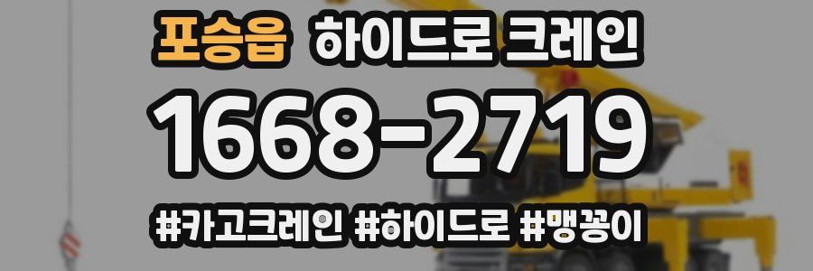 포승읍 하이드로 크레인