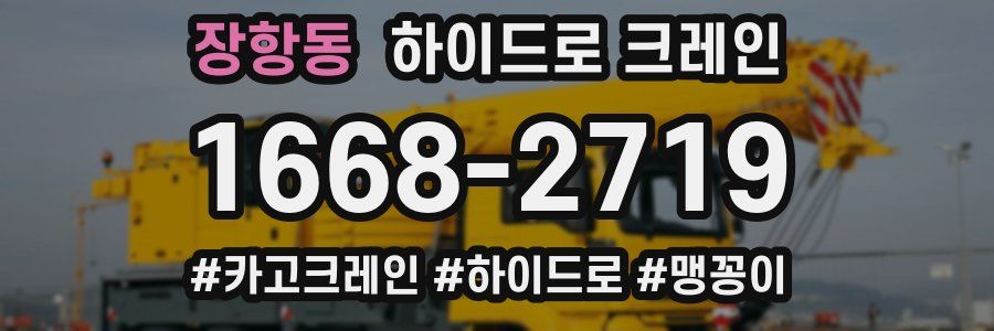 장항동 하이드로 크레인