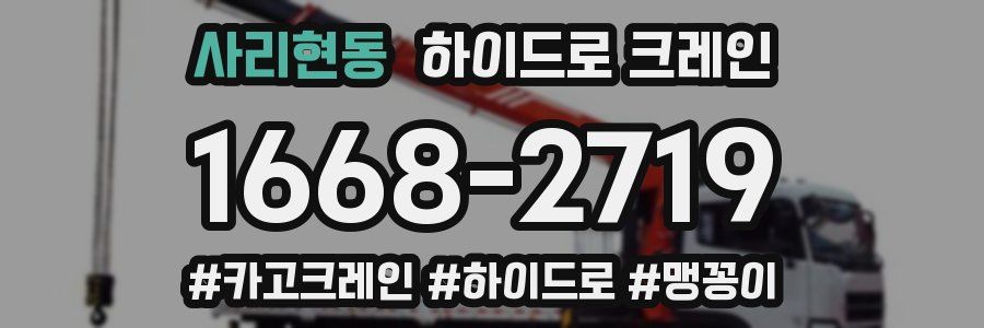 사리현동 하이드로 크레인