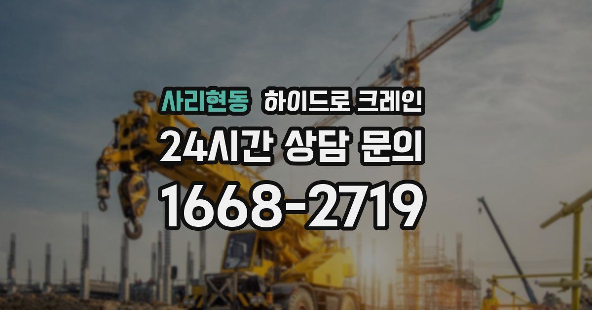 사리현동 하이드로 크레인
