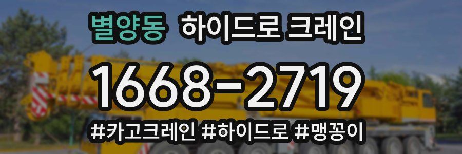 별양동 하이드로 크레인