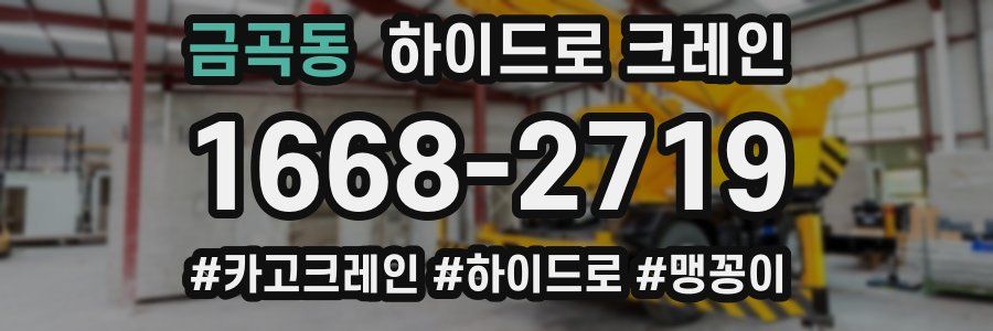 금곡동 하이드로 크레인