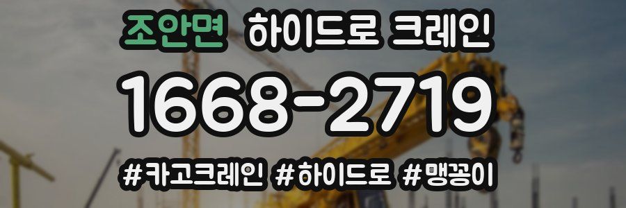 조안면 하이드로 크레인