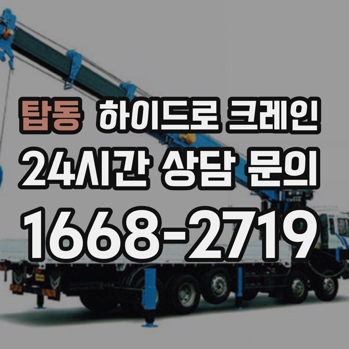 탑동 하이드로 크레인 나무 식재 장비 반입이 필요할 때
