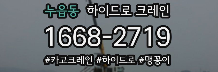 누읍동 하이드로 크레인