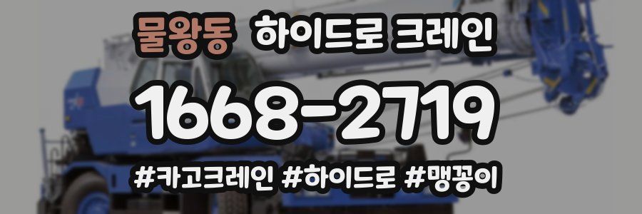 물왕동 하이드로 크레인