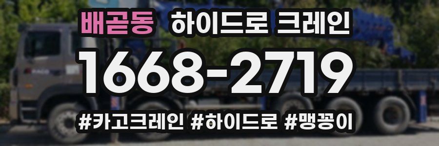 배곧동 하이드로 크레인
