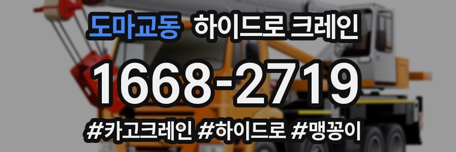 도마교동 하이드로 크레인
