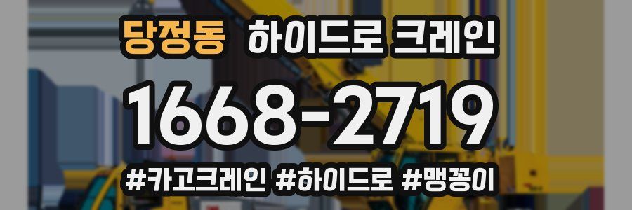 당정동 하이드로 크레인