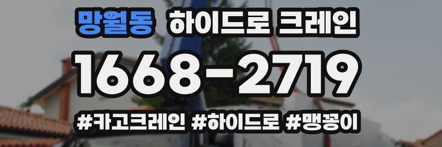 망월동 하이드로 크레인