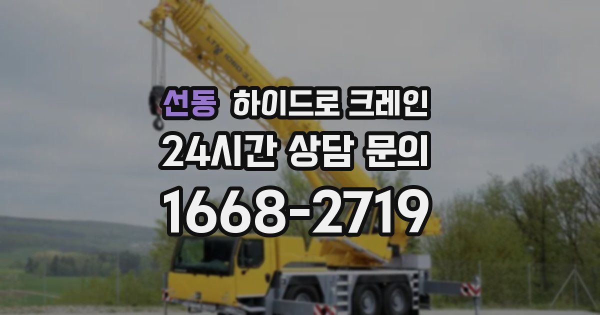 선동 하이드로 크레인
