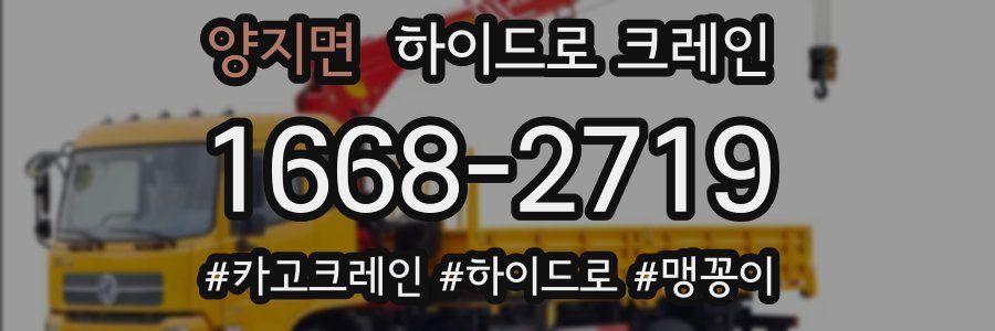 양지면 하이드로 크레인