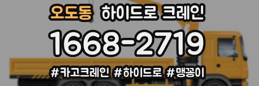 오도동 하이드로 크레인