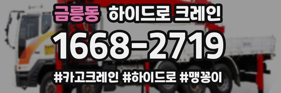 금릉동 하이드로 크레인