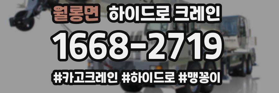 월롱면 하이드로 크레인
