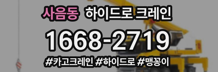 사음동 하이드로 크레인