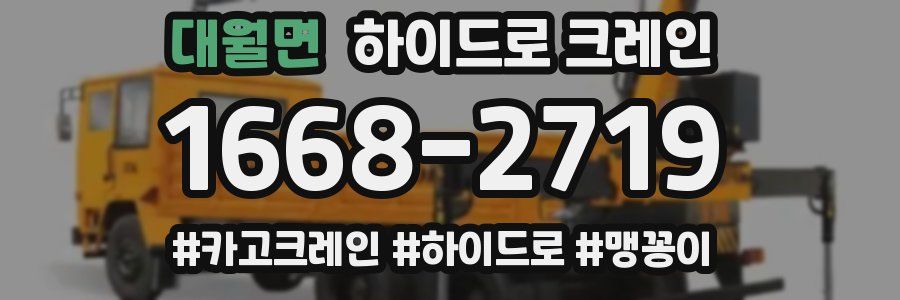 대월면 하이드로 크레인