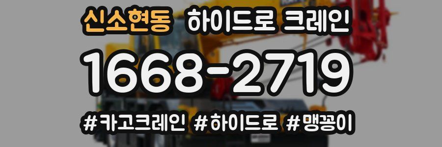 신소현동 하이드로 크레인