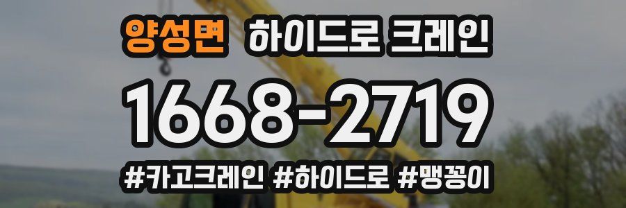 양성면 하이드로 크레인