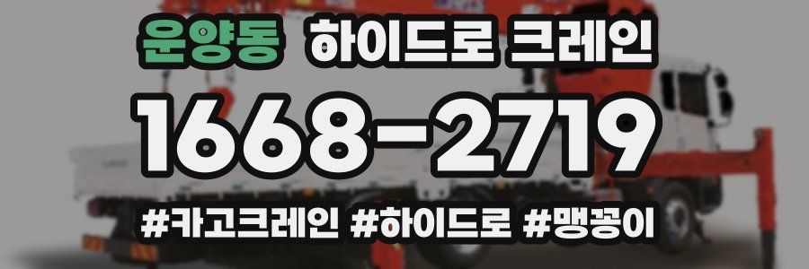 운양동 하이드로 크레인