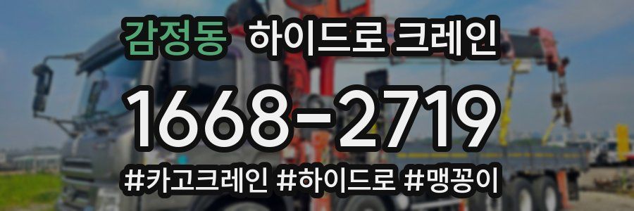 감정동 하이드로 크레인