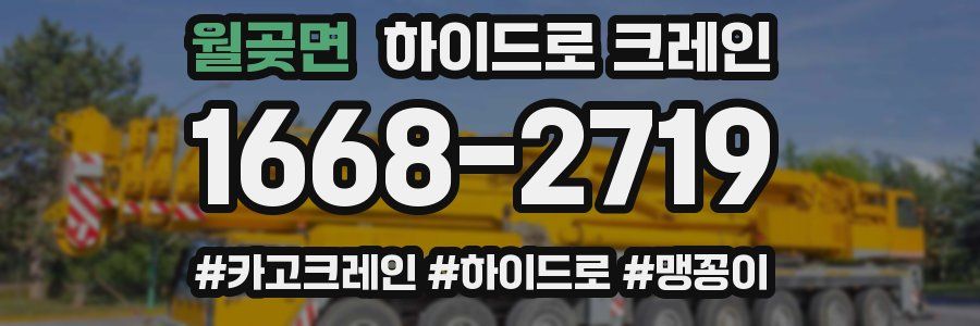 월곶면 하이드로 크레인