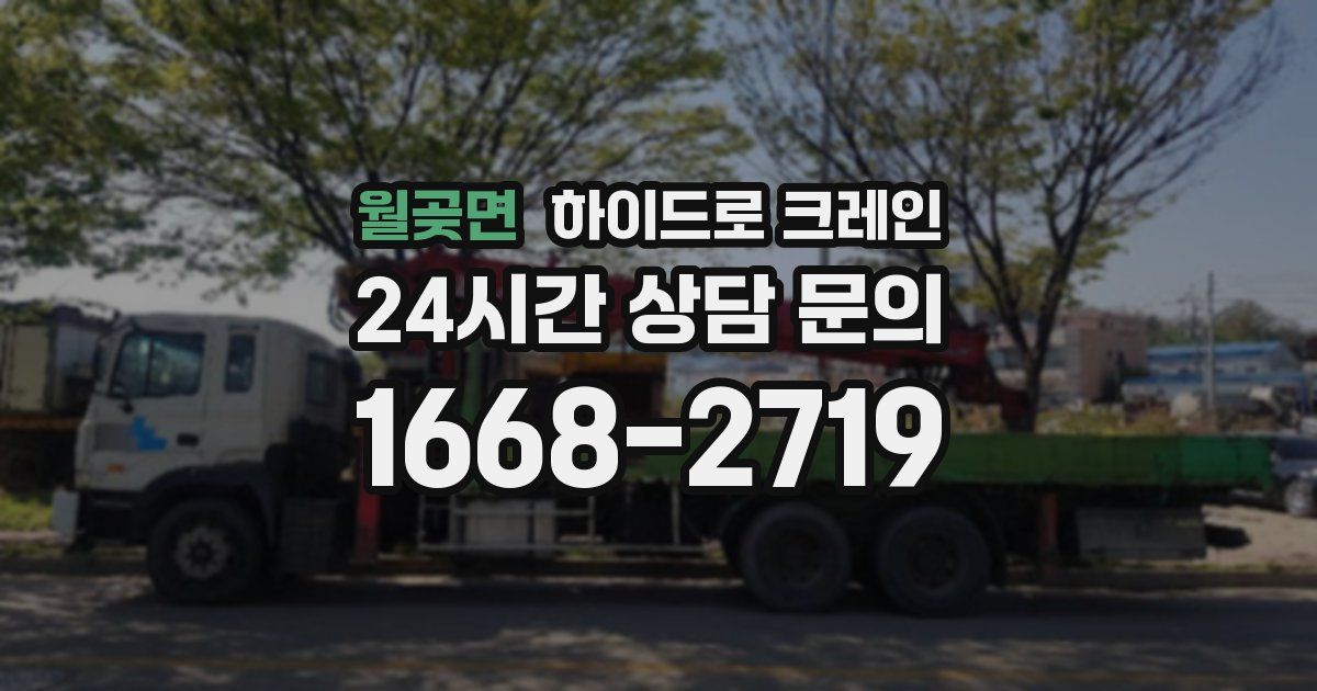 월곶면 하이드로 크레인