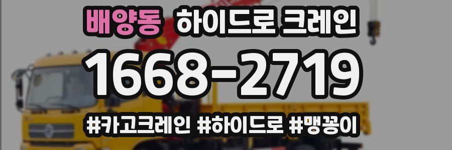 배양동 하이드로 크레인