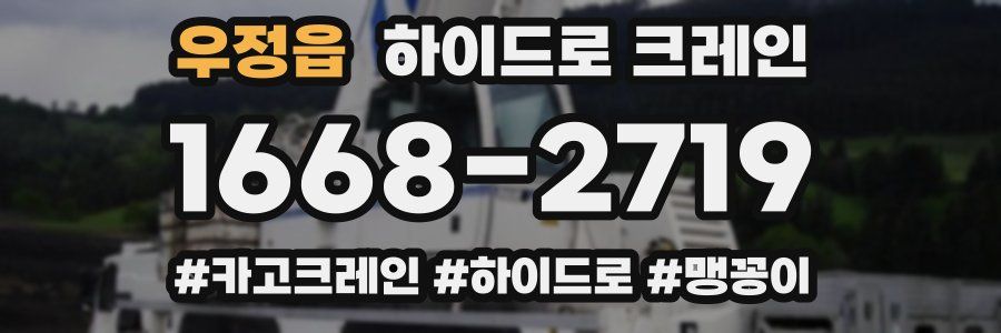 우정읍 하이드로 크레인