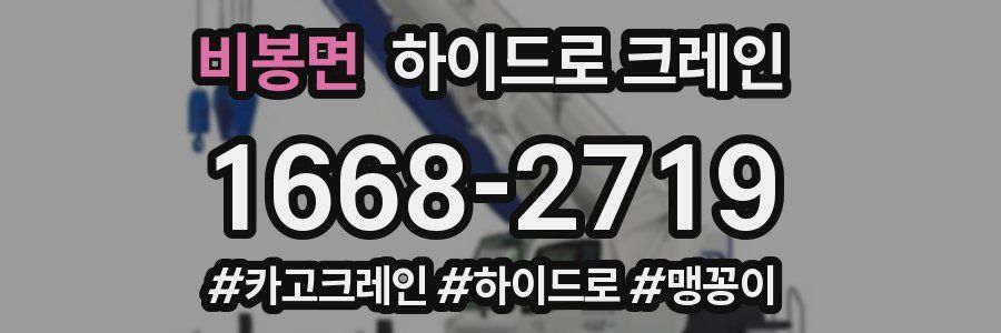 비봉면 하이드로 크레인