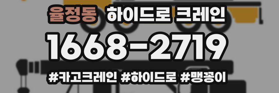 율정동 하이드로 크레인