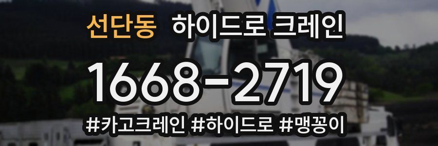 선단동 하이드로 크레인