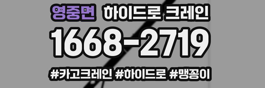 영중면 하이드로 크레인