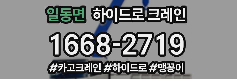 일동면 하이드로 크레인