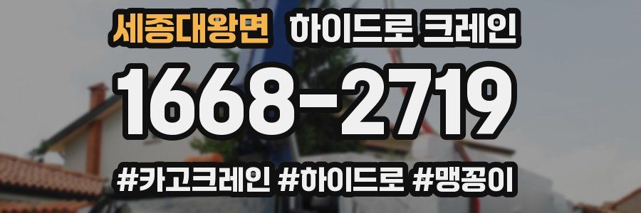 세종대왕면 하이드로 크레인