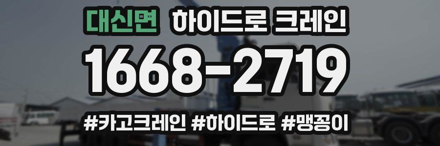 대신면 하이드로 크레인