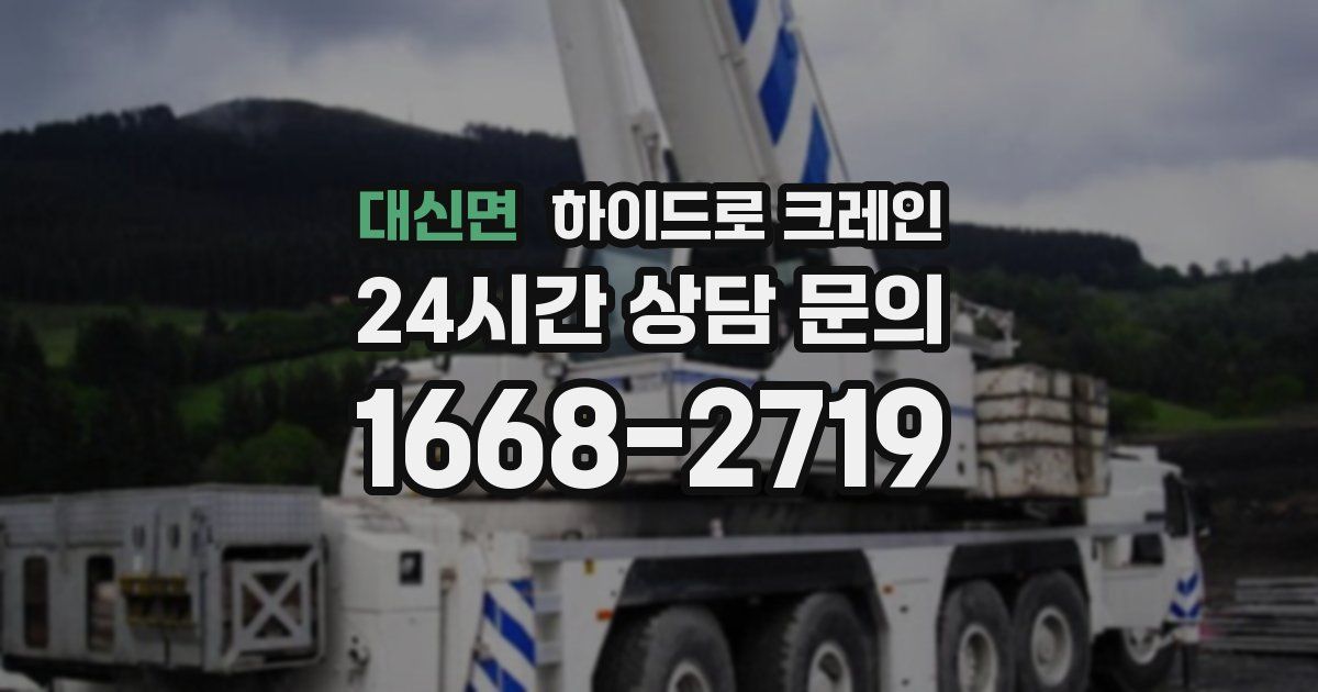 대신면 하이드로 크레인