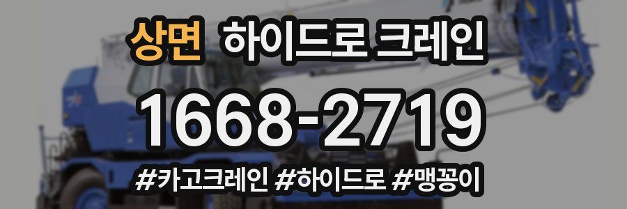 상면 하이드로 크레인