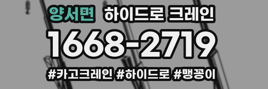 양서면 하이드로 크레인