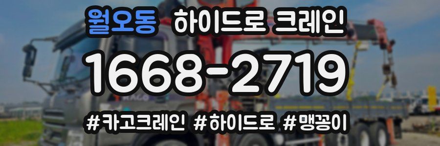 월오동 하이드로 크레인