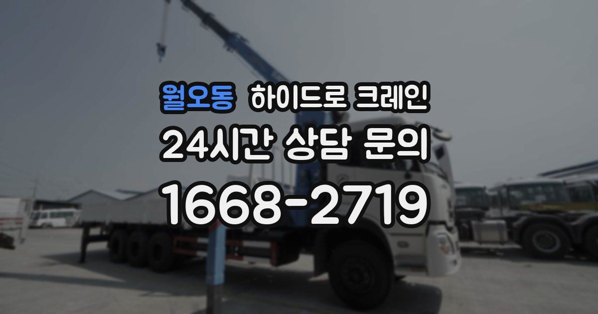 월오동 하이드로 크레인