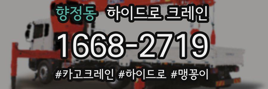 향정동 하이드로 크레인