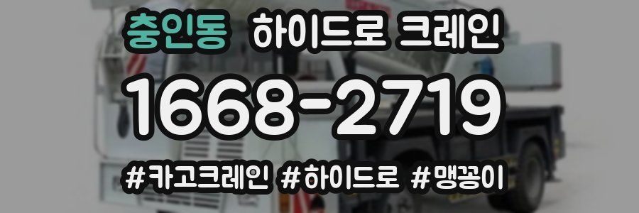 충인동 하이드로 크레인
