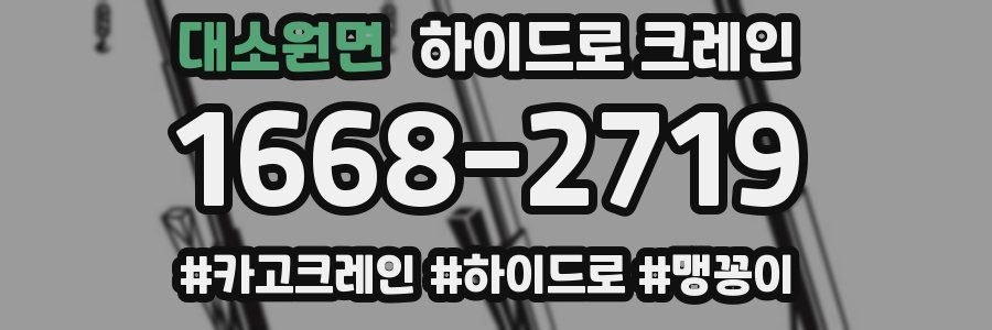 대소원면 하이드로 크레인